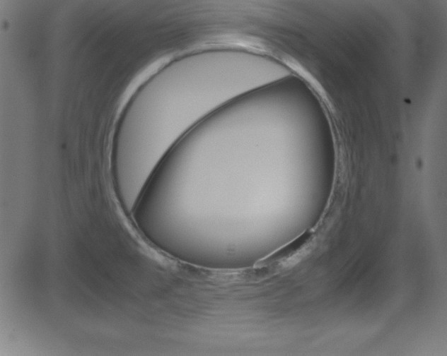 X0000081631477200701151107