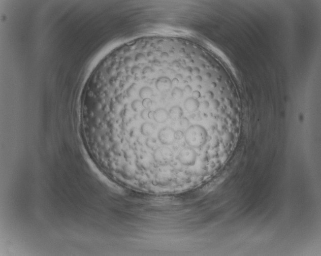 X0000081631479200701151107