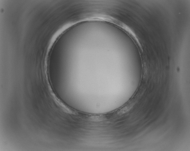 X0000081631480200701151107