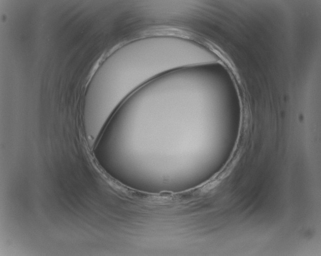 X0000081631481200701151107