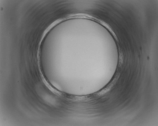 X0000081631482200701151107