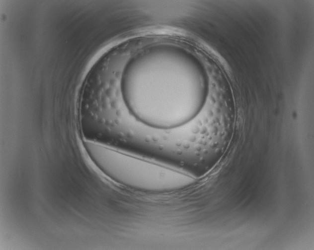 X0000081631483200701151107