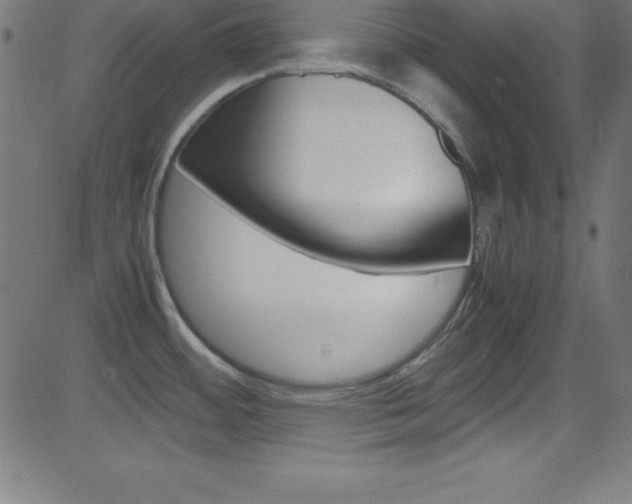 X0000081631484200701151107