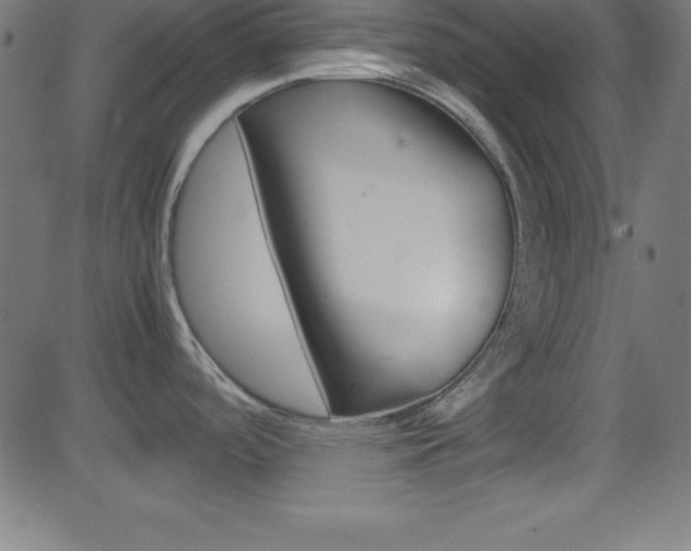 X0000081631488200701151107