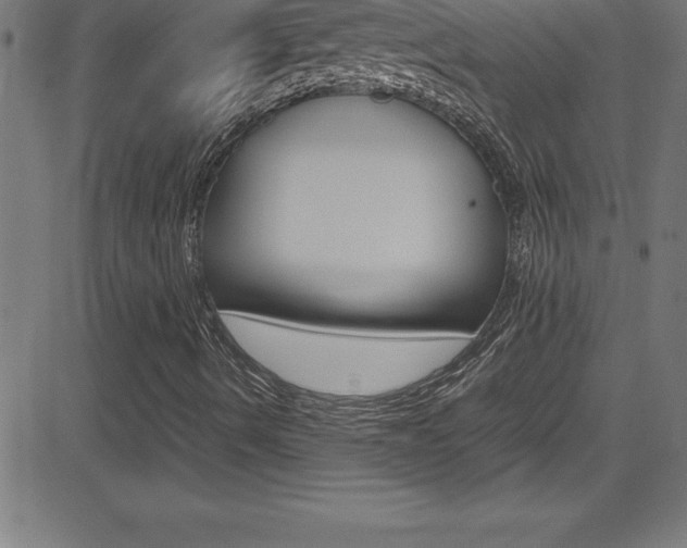 X0000081631490200701151106