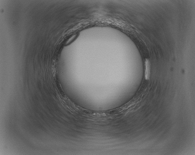 X0000081631491200701151106