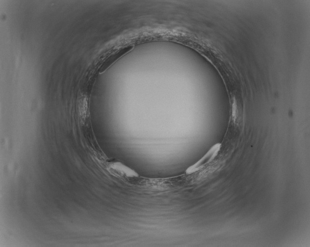 X0000081631492200701151106