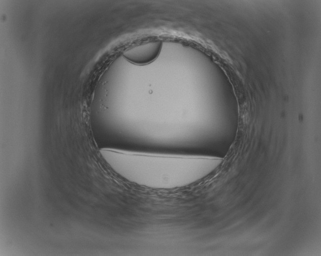 X0000081631495200701151107