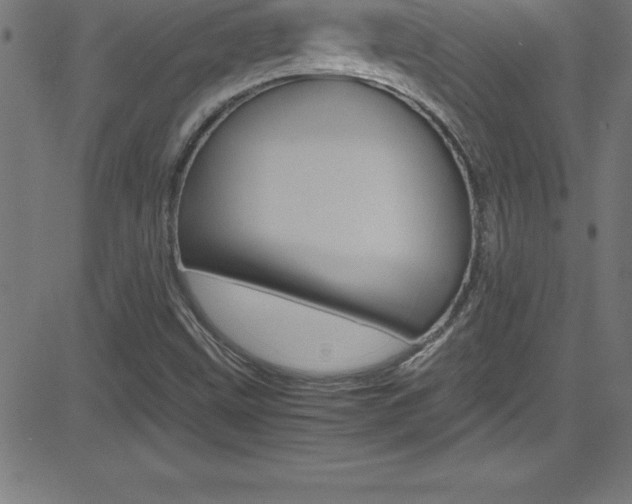 X0000081631499200701151107