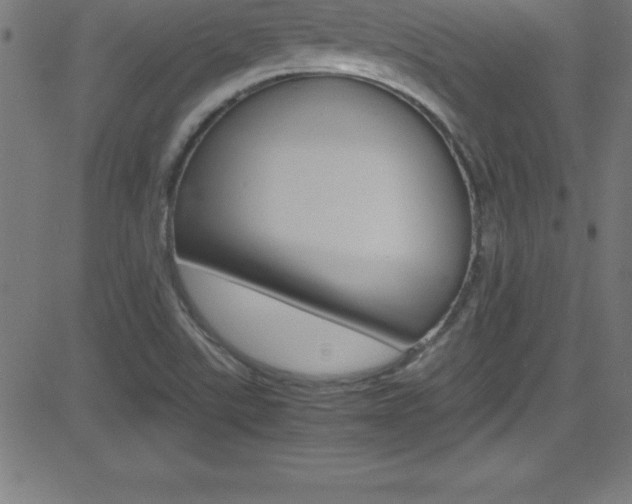X0000081631507200701151107