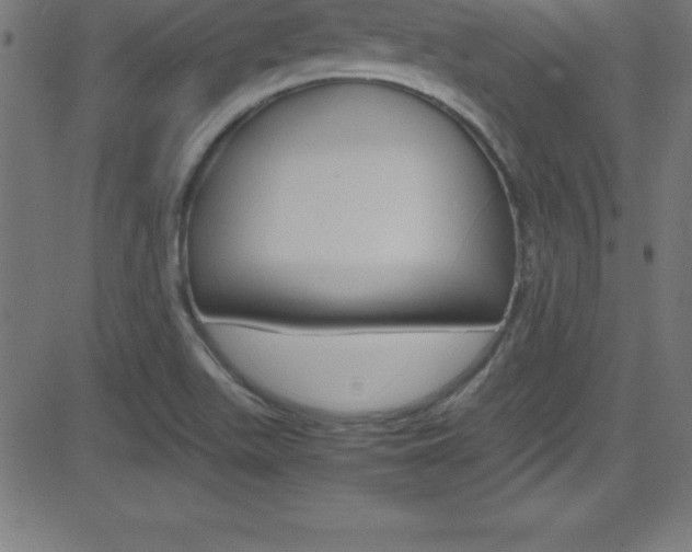 X0000081631511200701151107