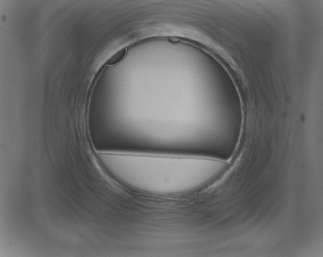 X0000081631513200701151107