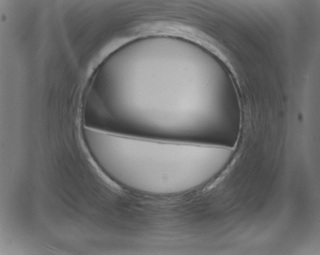 X0000081631525200701151107