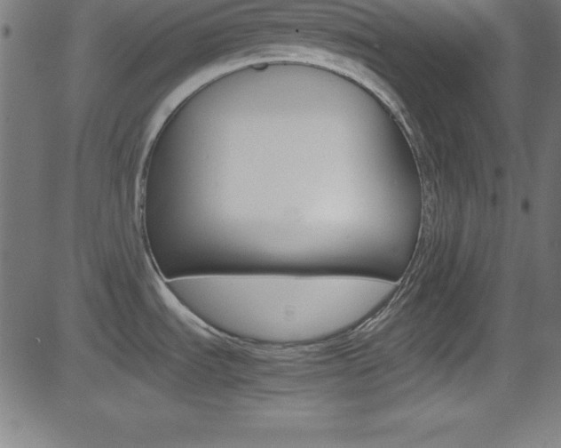 X0000081631535200701151107