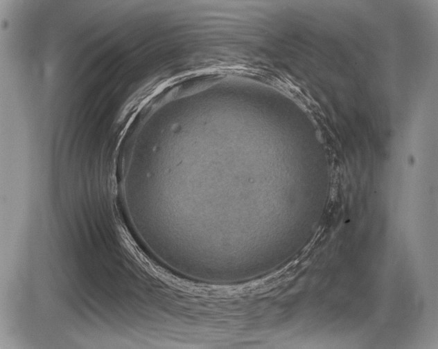 X0000081630002200701151437