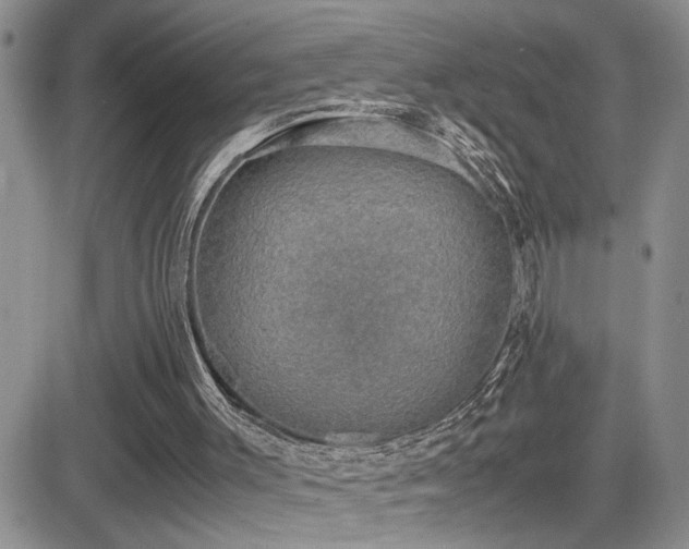 X0000081630003200701151437