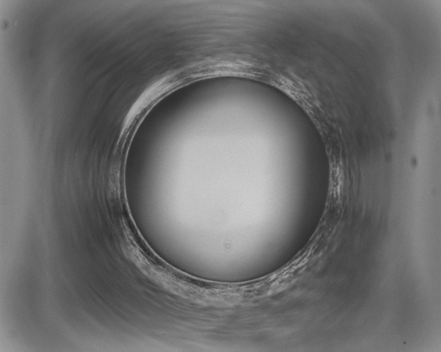 X0000081630004200701151437
