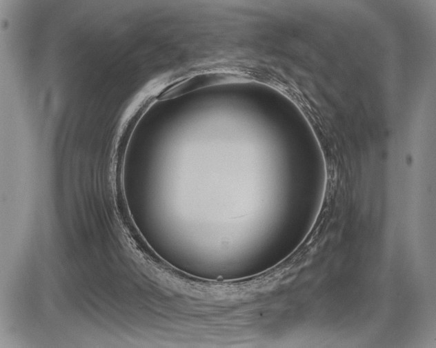 X0000081630006200701151437