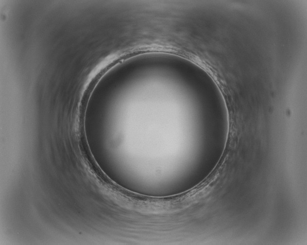 X0000081630008200701151437