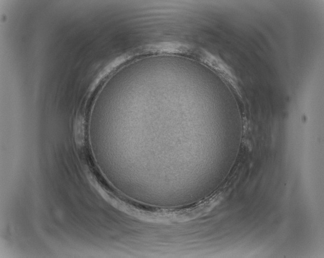 X0000081630012200701151436