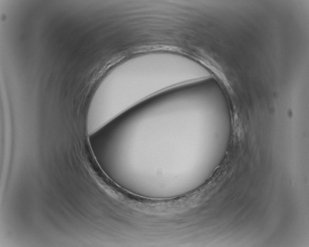 X0000081630013200701151436