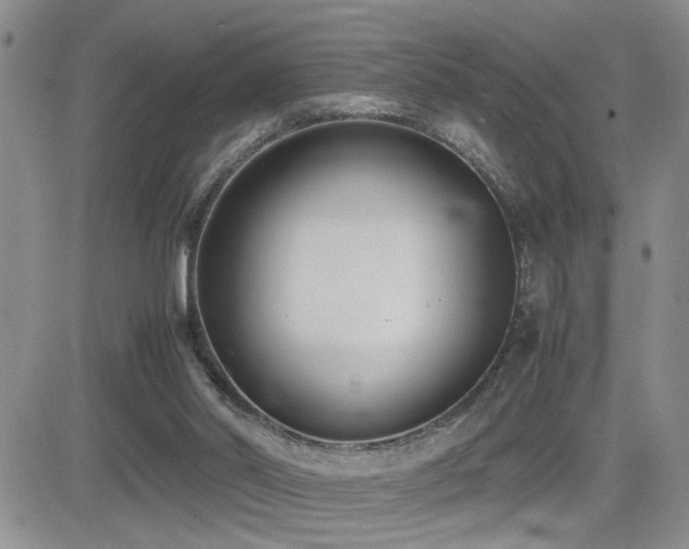 X0000081630014200701151436