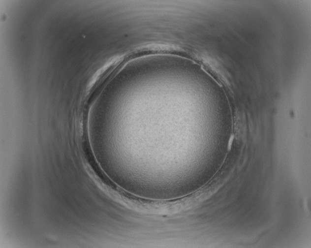 X0000081630015200701151436