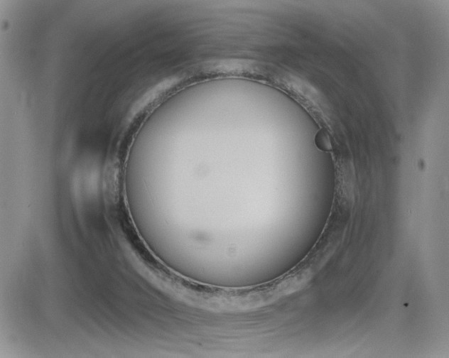 X0000081630016200701151436