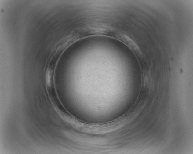 X0000081630026200701151436