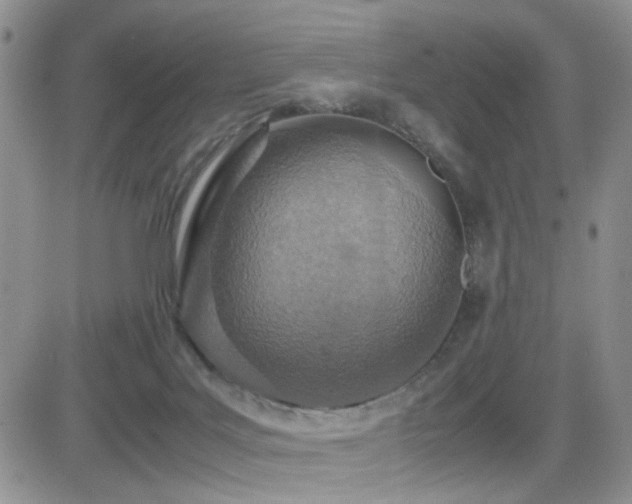 X0000081630027200701151436