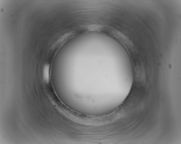 X0000081630028200701151436