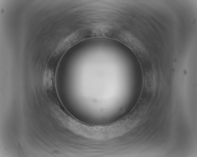 X0000081630038200701151436