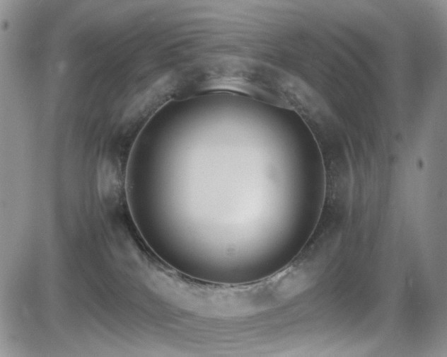 X0000081630040200701151436