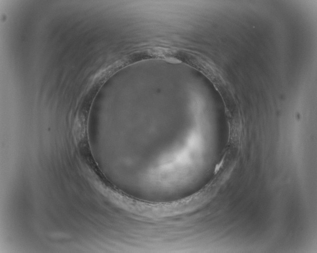 X0000081630043200701151436