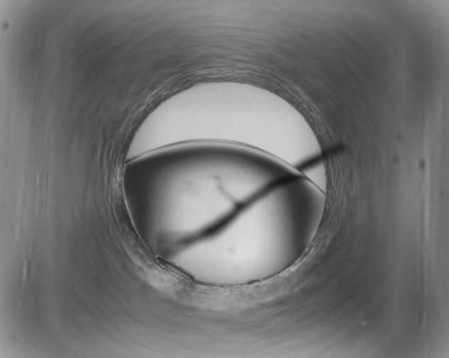 X0000081630045200701151436