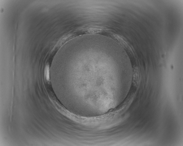 X0000081630046200701151436