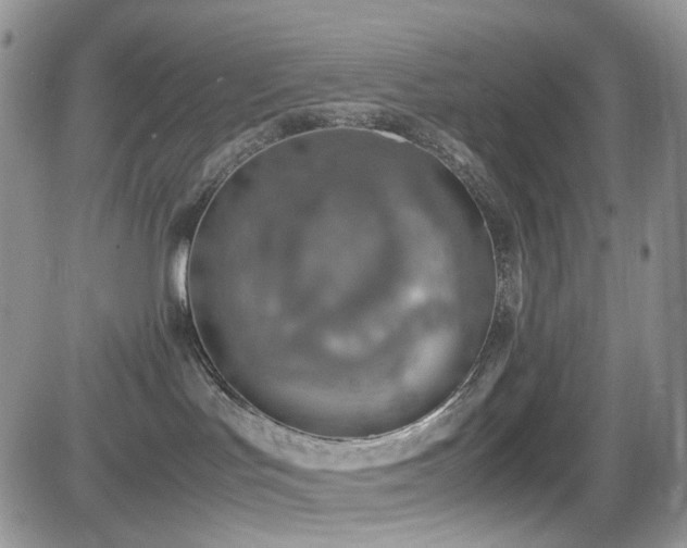 X0000081630047200701151436