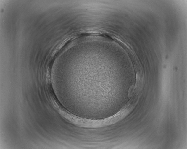 X0000081630048200701151436