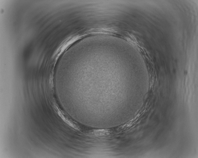 X0000081630050200701151435