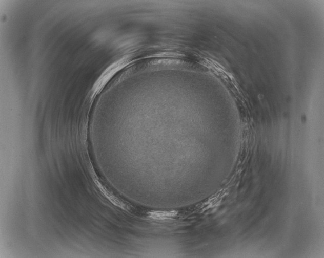 X0000081630051200701151435