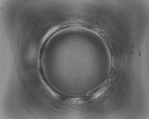 X0000081630054200701151435