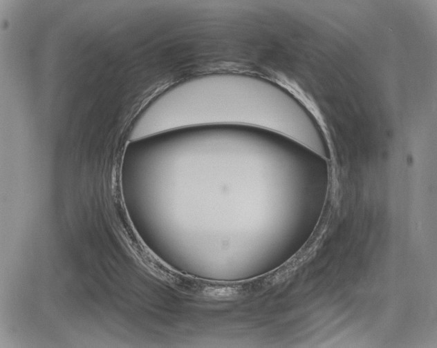 X0000081630057200701151435