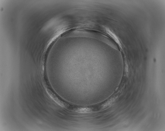 X0000081630059200701151435