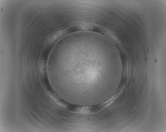X0000081630078200701151436