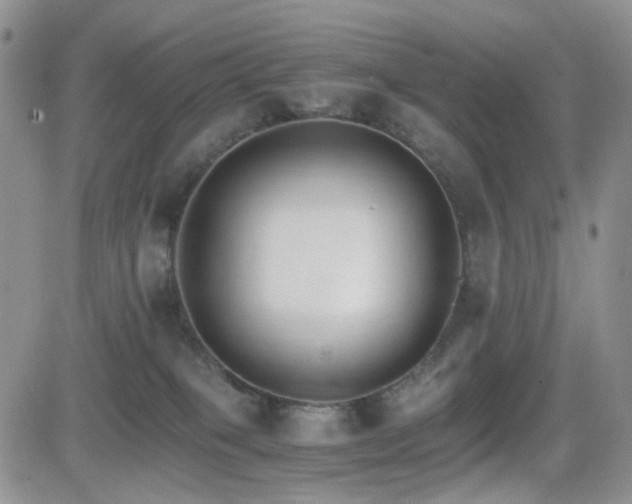 X0000081630085200701151436
