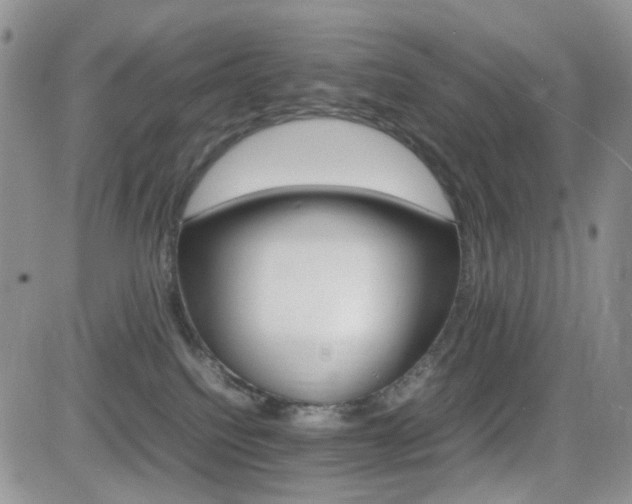 X0000081630088200701151436