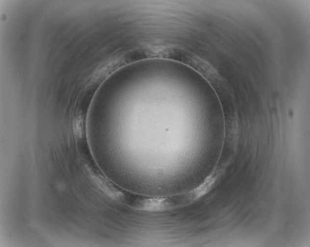 X0000081630090200701151436