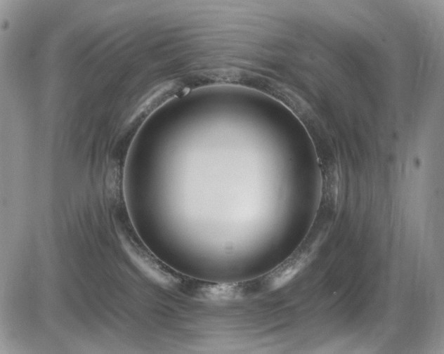 X0000081630092200701151436