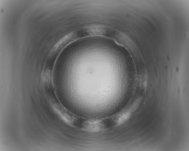 X0000081630093200701151436