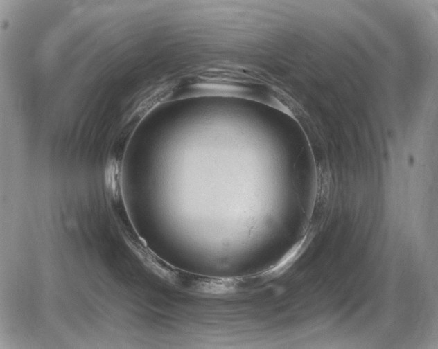 X0000081630094200701151436